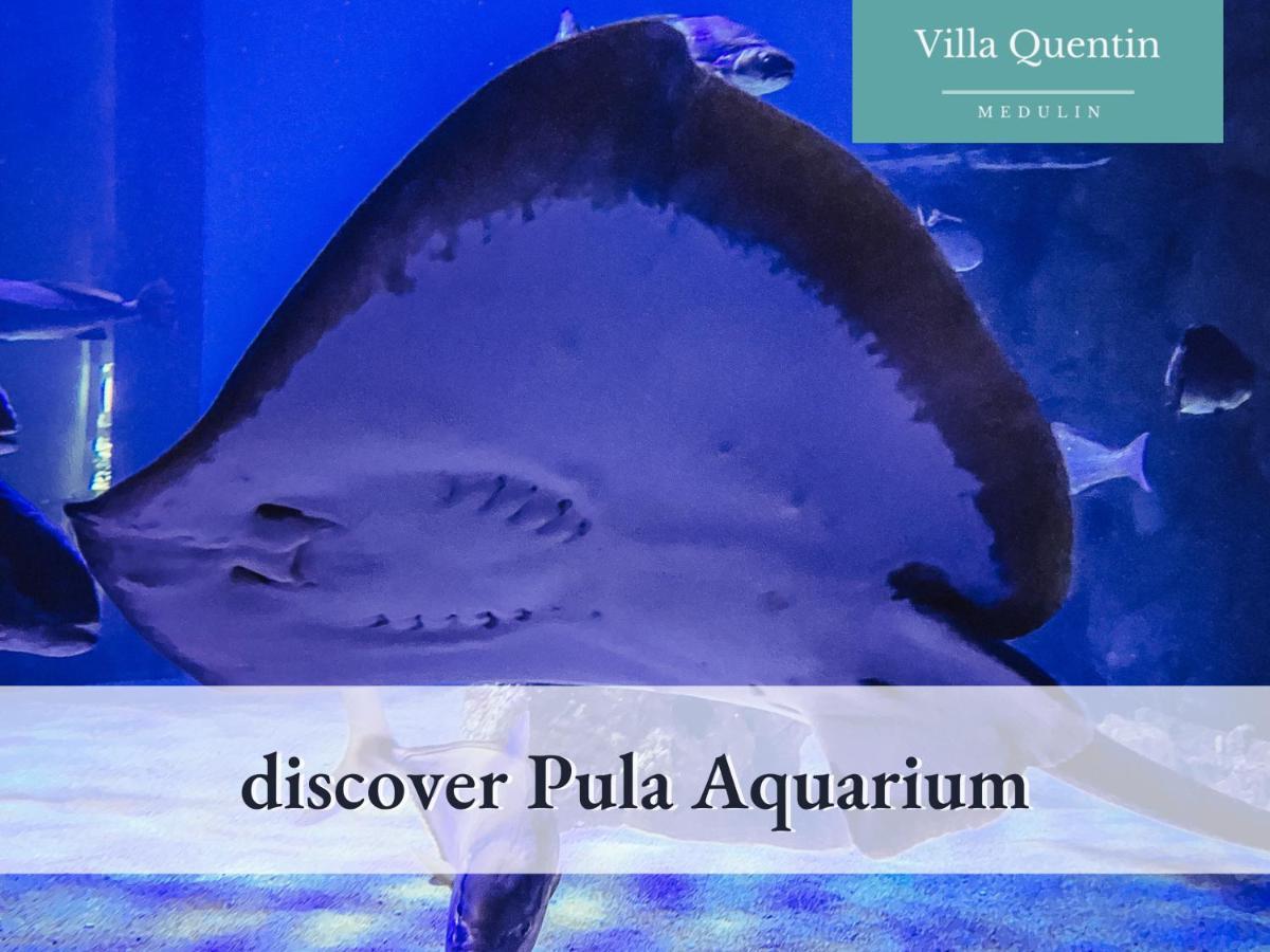 Villa Quentin - Quiet Place Close To Beach Medulin Bagian luar foto